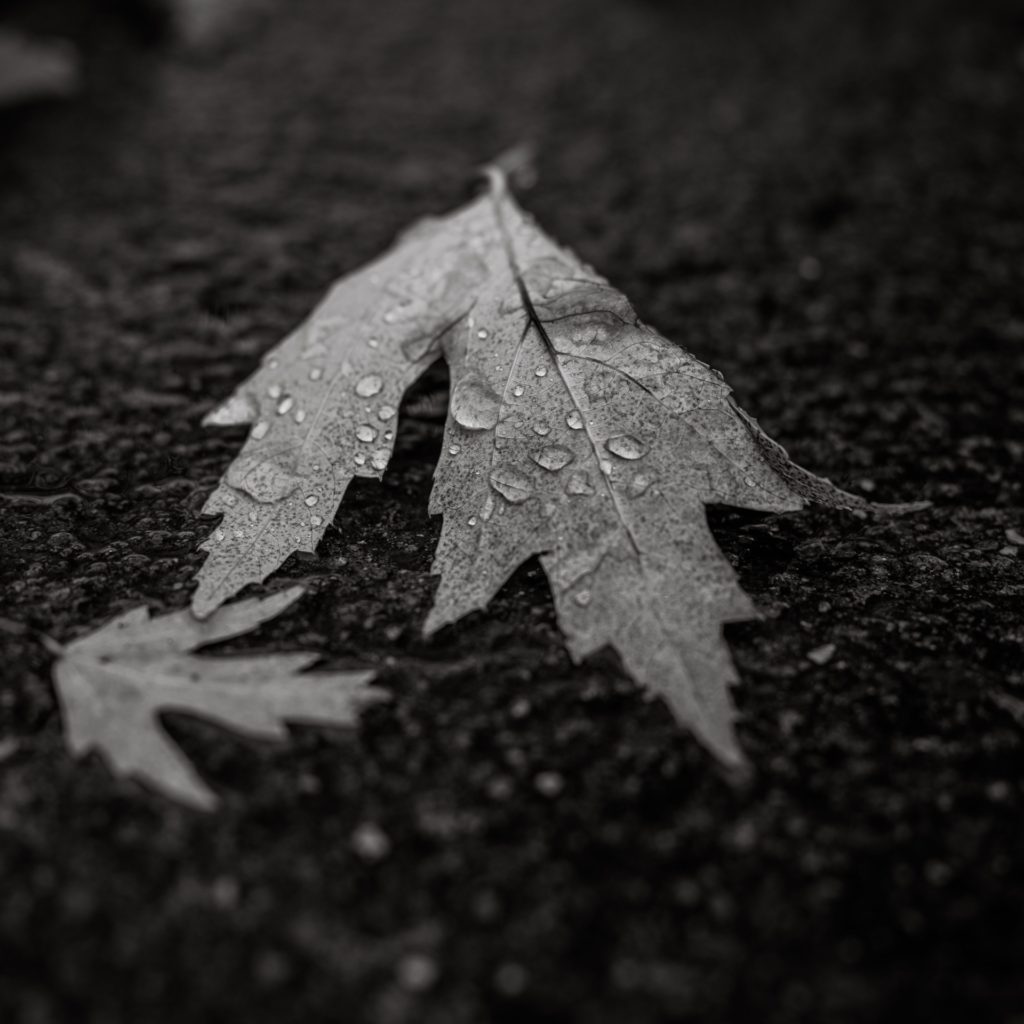 Supporto per Depressione e Crisi Esistenziale
